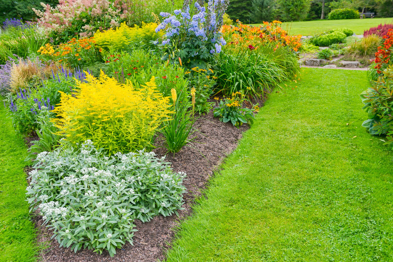 Summer flower beds